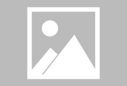 社区盾倒计时；阿森纳关键时刻调整名单；细节引发关注；媒体盛赞；年轻球员得到机会的简单介绍-APP下载